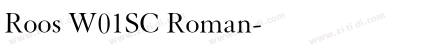 Roos W01SC Roman字体转换